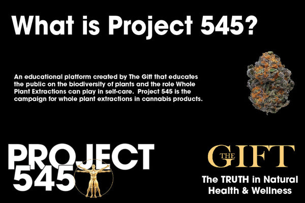 What is Project 545?